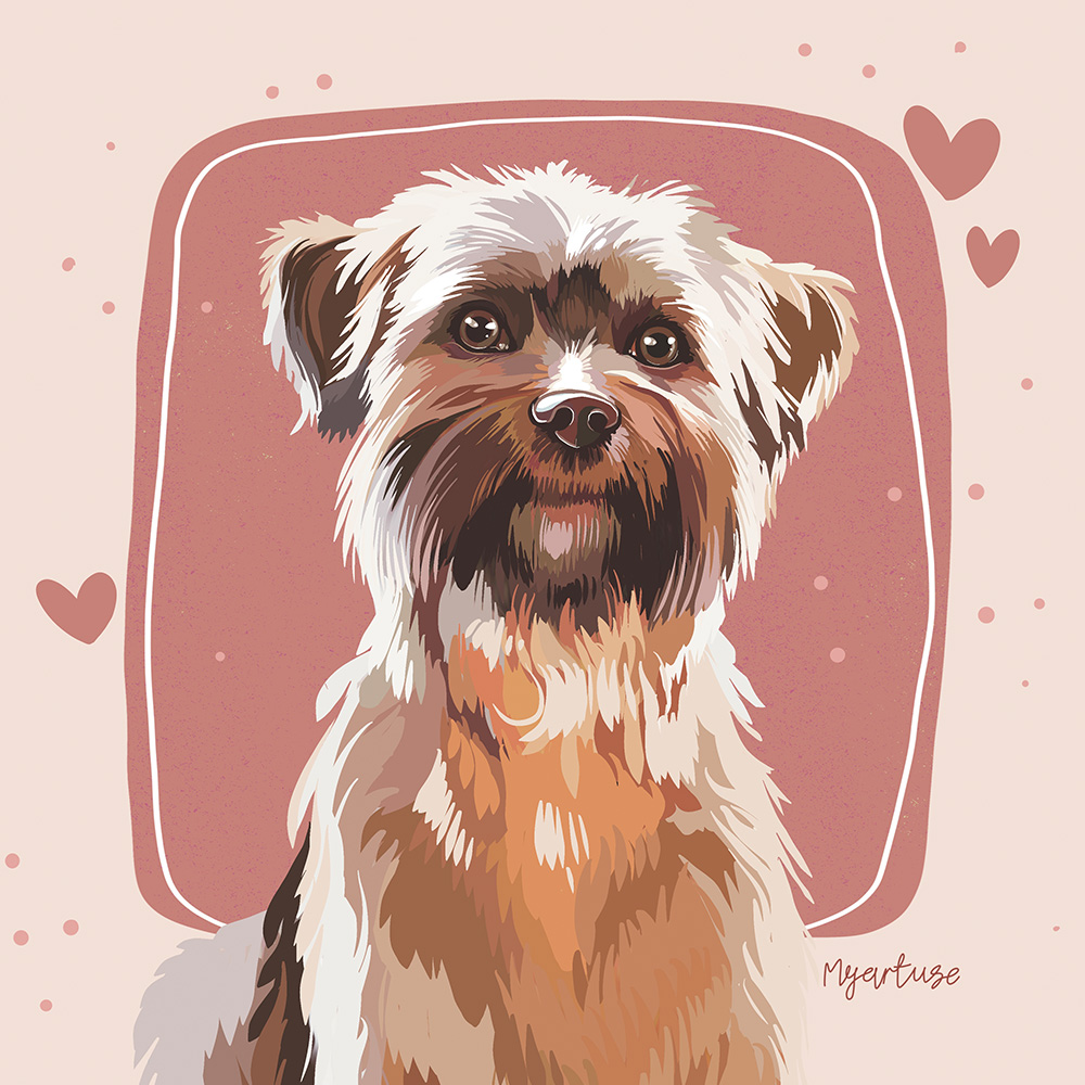 portfolio_image_missing